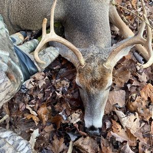 Meet your Posher, Travis